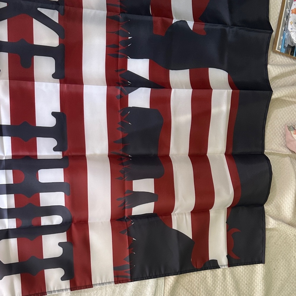 Flag - Picture 2 of 3